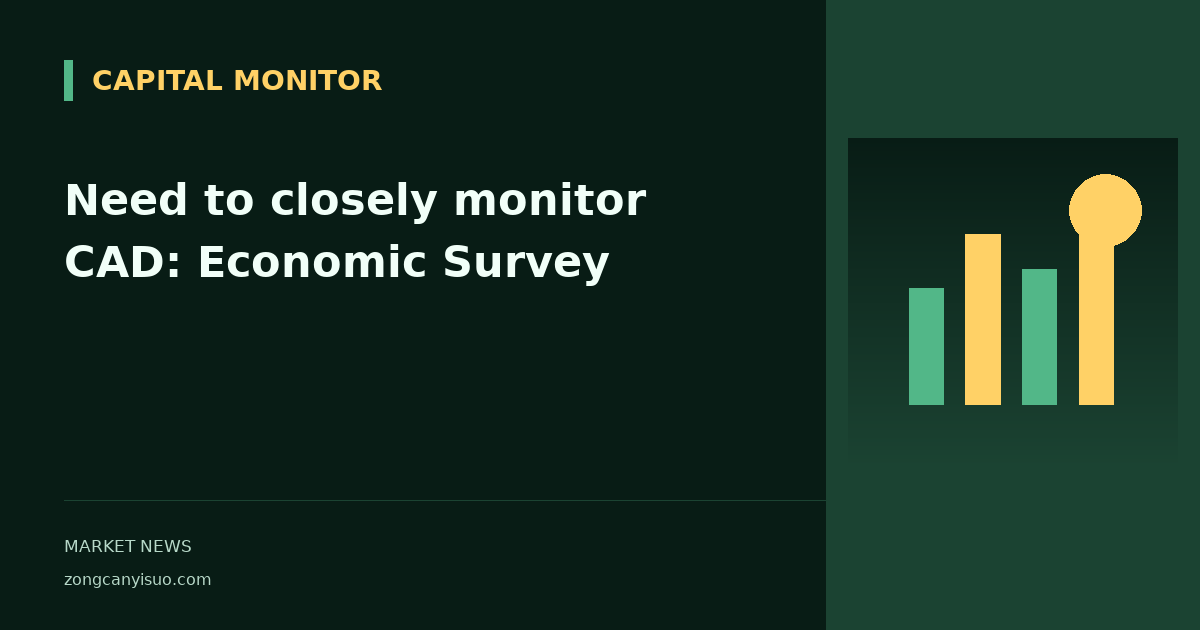 Need to closely monitor CAD: Economic Survey
